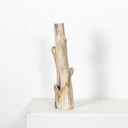 Petrified Wood Branch